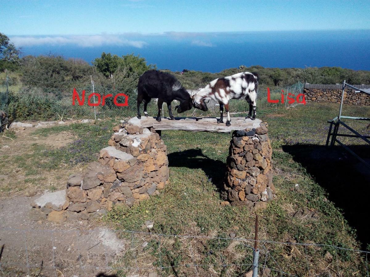 Finca La Ramona Isora Luaran gambar